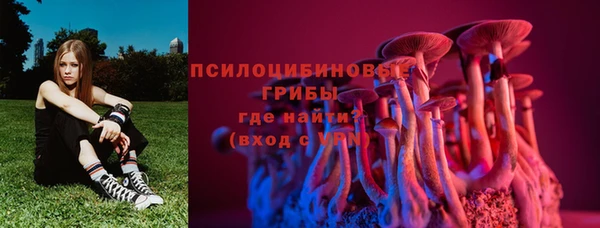 таблы Ладушкин