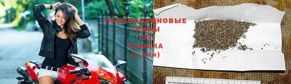 шишки Лабытнанги