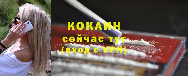 индика Куйбышев