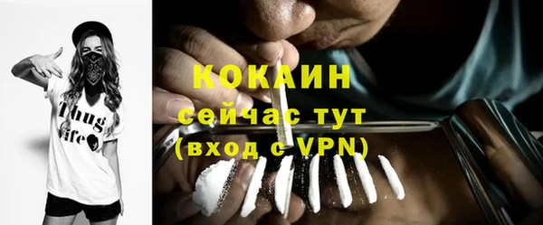 индика Куйбышев