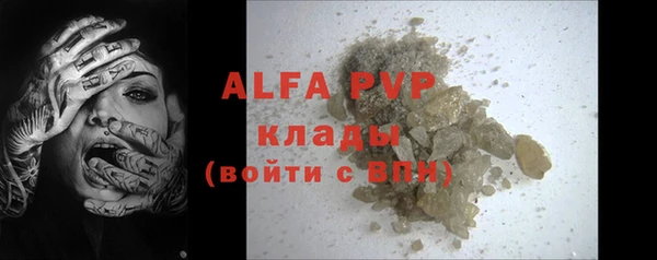 шишки Лабытнанги