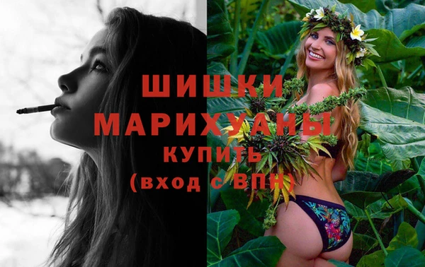 шишки Лабытнанги