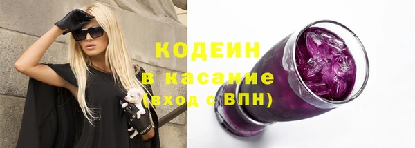 шишки Лабытнанги