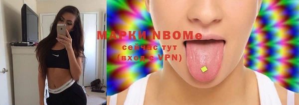 шишки Лабытнанги
