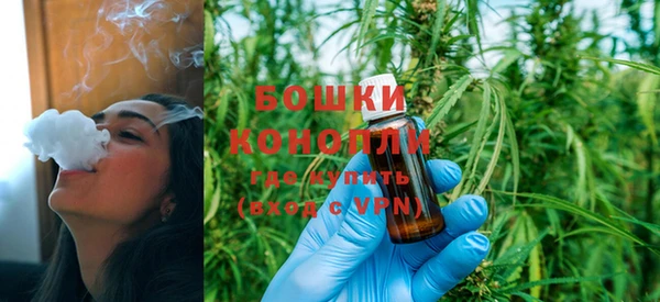 шишки Лабытнанги