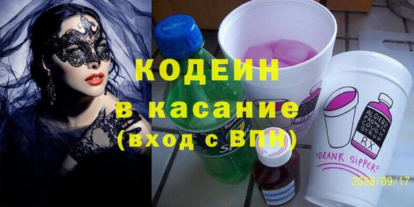 шишки Лабытнанги