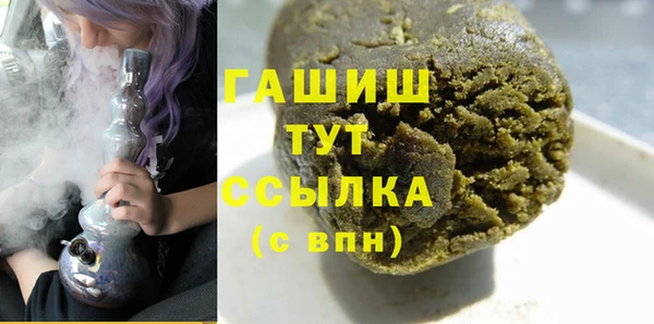 шишки Лабытнанги