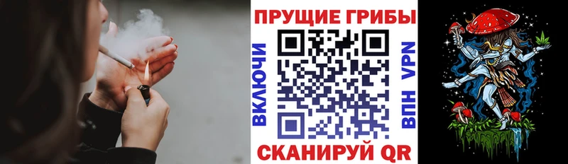 Галлюциногенные грибы мицелий  где купить наркоту  Ярцево 