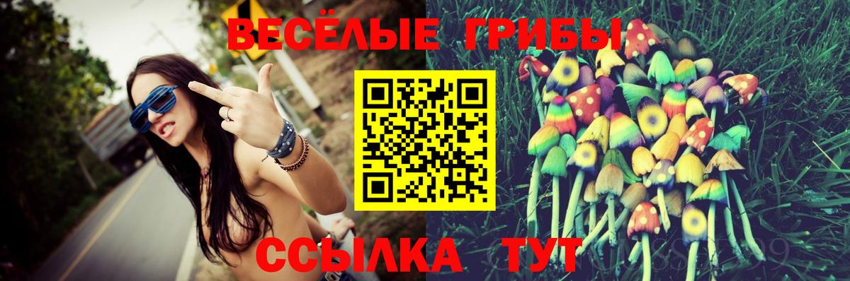 продажа наркотиков  Галлюциногенные грибы прущие грибы  Вход с VPN  Ярцево  Псилоцибиновые грибы Magic Shrooms 