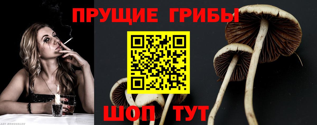 Псилоцибиновые грибы ЛСД Ярцево